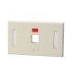 Link US-2001A Face Plate 1 Port With Icon & Lable ID, Ivory color