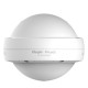 Reyee RG-RAP6262(G) Wi-Fi 6 AX1800 Outdoor Omni-directional Access Point, 2 x Gigabit Port, 802.3at PoE Supprot, IP68 Waterproof Protection, Ruijie Cloud app management