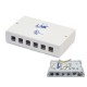 Link US-2406 Surface White Mount Box 6 Port (No Modular Jack)